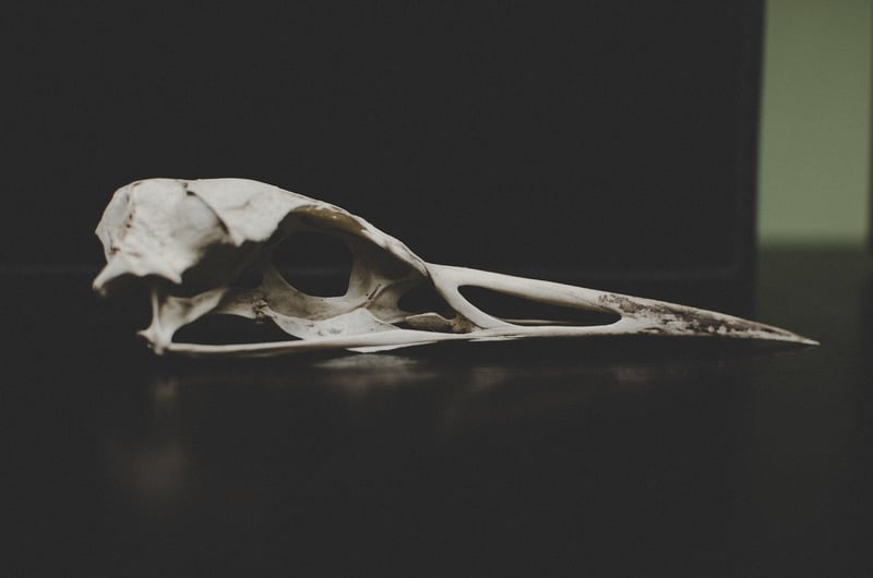 Faint Remnants