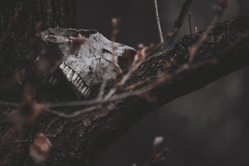 Ghost